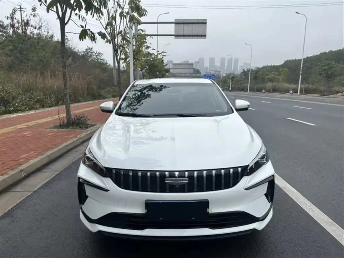 GEELY AUTO BINRUI