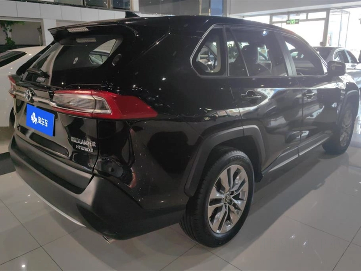 TOYOTA WILDLANDER