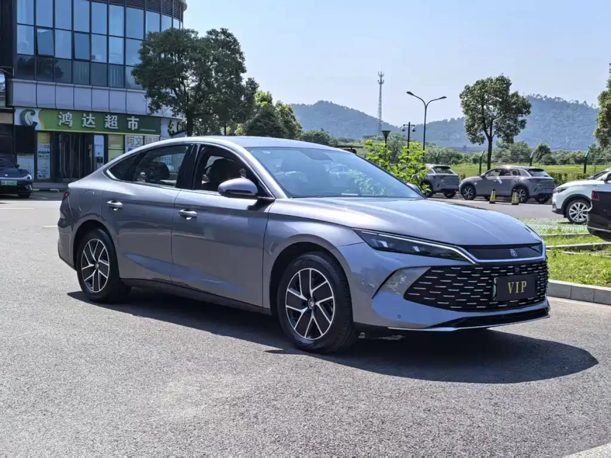 BYD QIN L