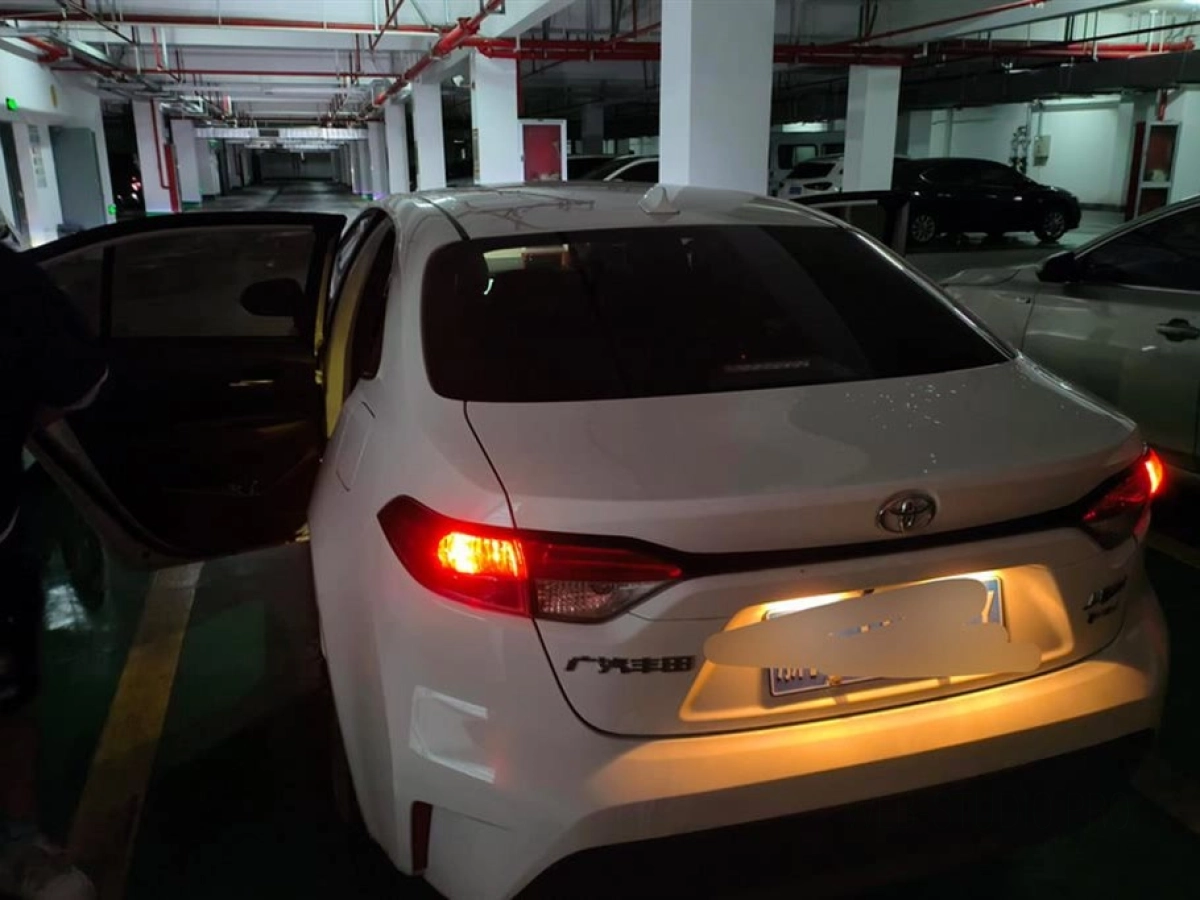 TOYOTA RALINK