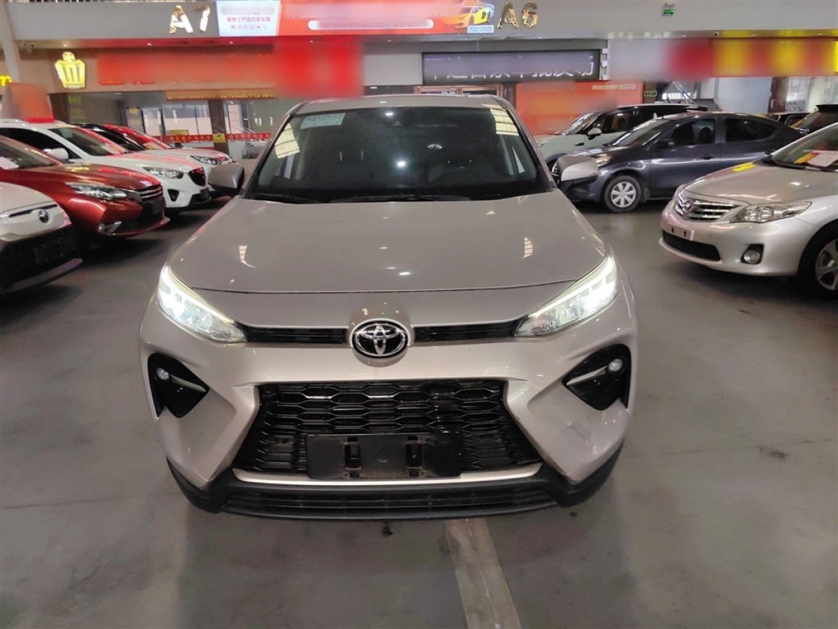 TOYOTA WILDLANDER