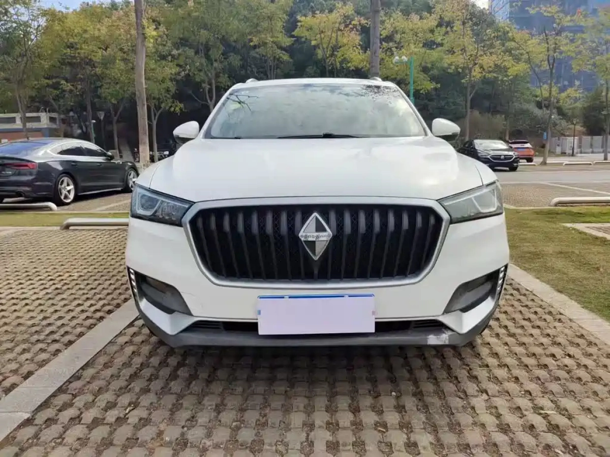 BORGWARD BX5