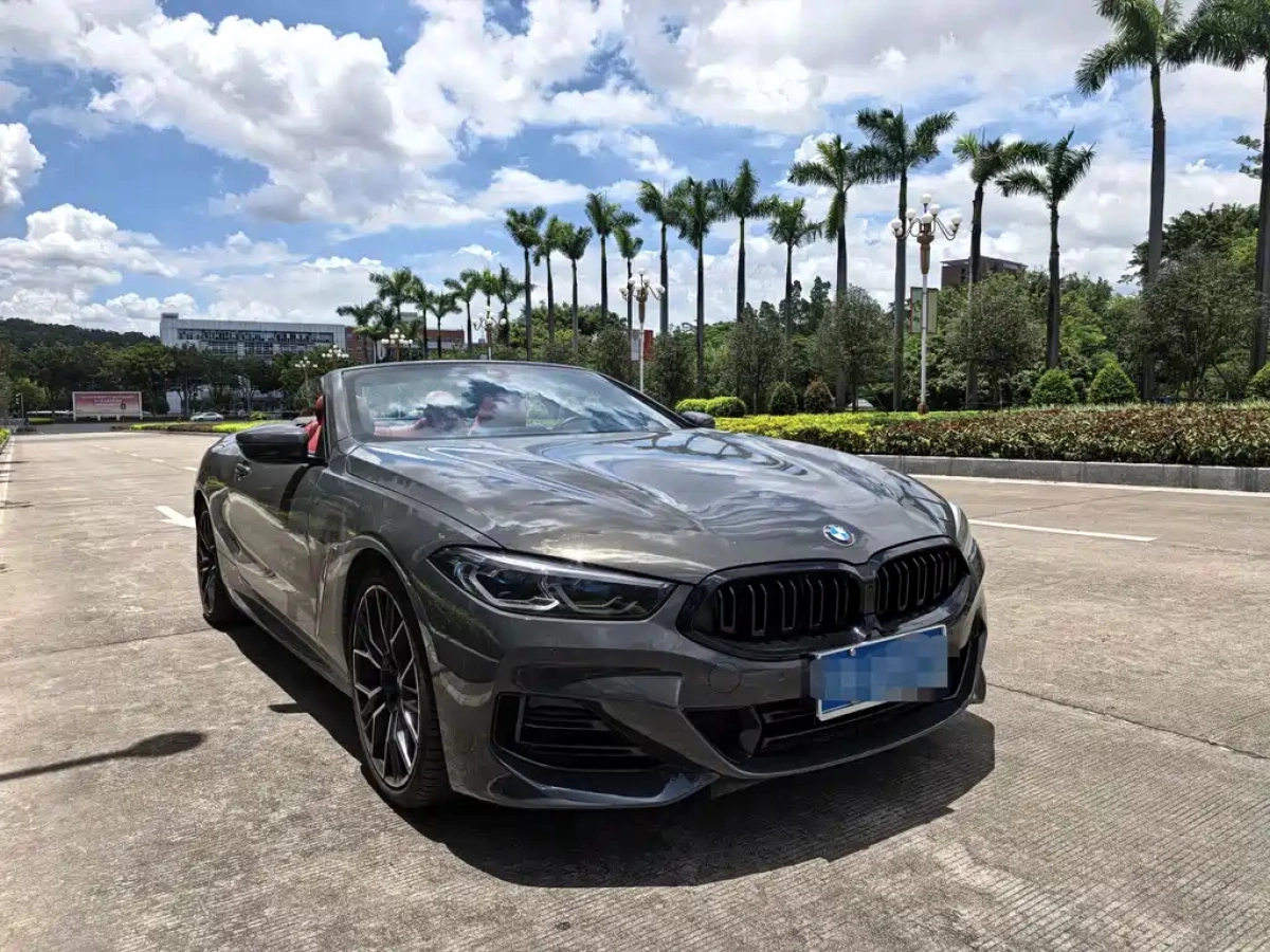 BMW 8-SERIES