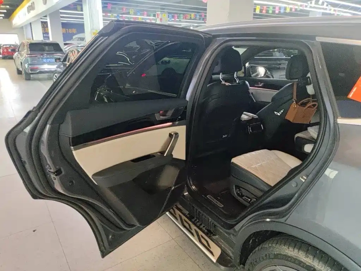 BYD TANG NEW ENERGY