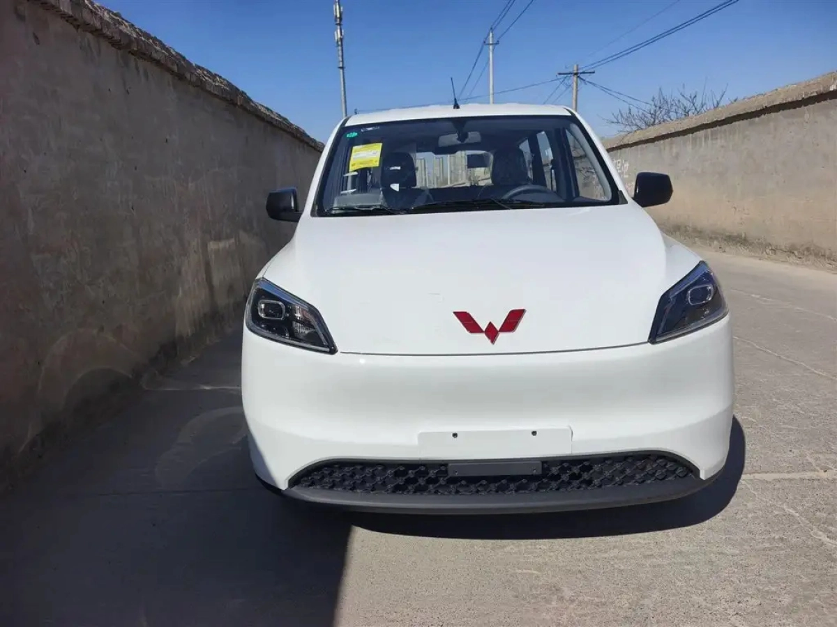 SGMW WULING HONGGUANG NEW ENERGY