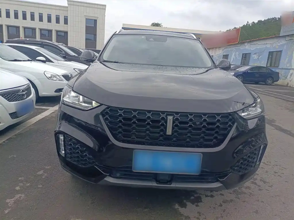 WEY VV6