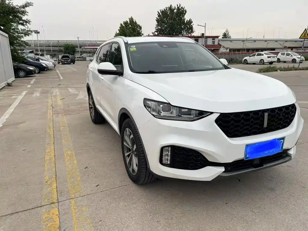 WEY VV6