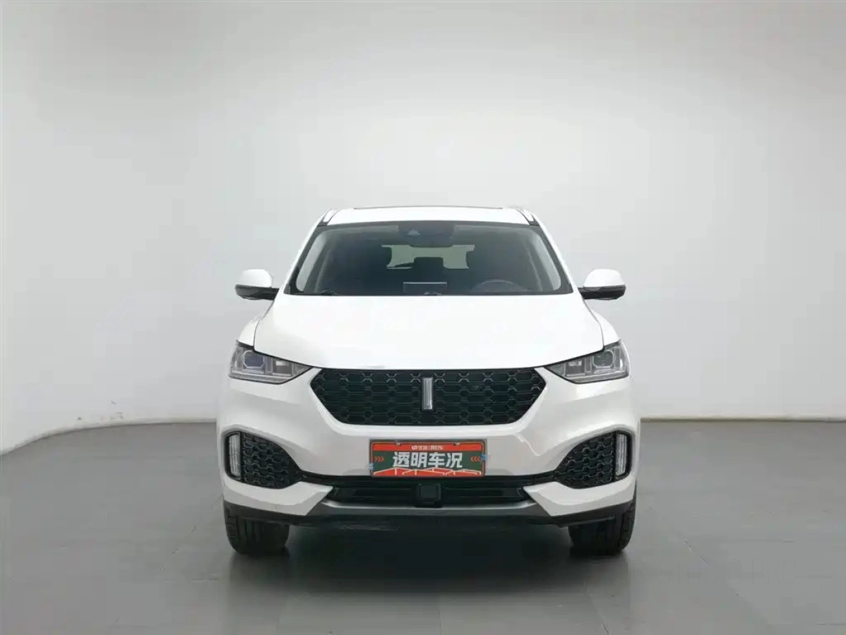 WEY VV6