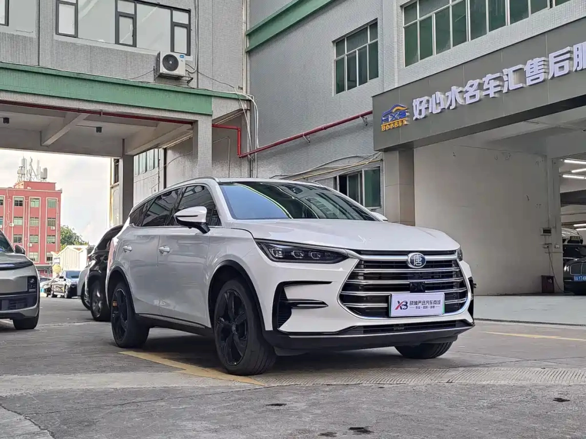 BYD TANG NEW ENERGY