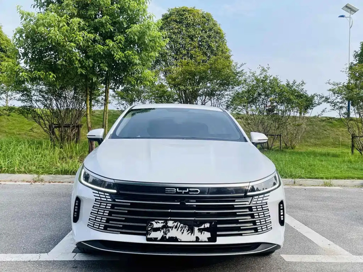 BYD DESTROYER 05