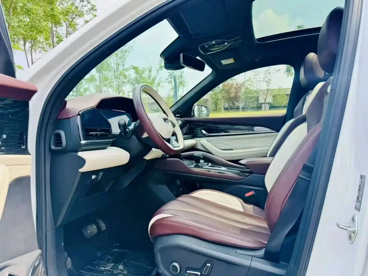 GEELY AUTO MONJARO