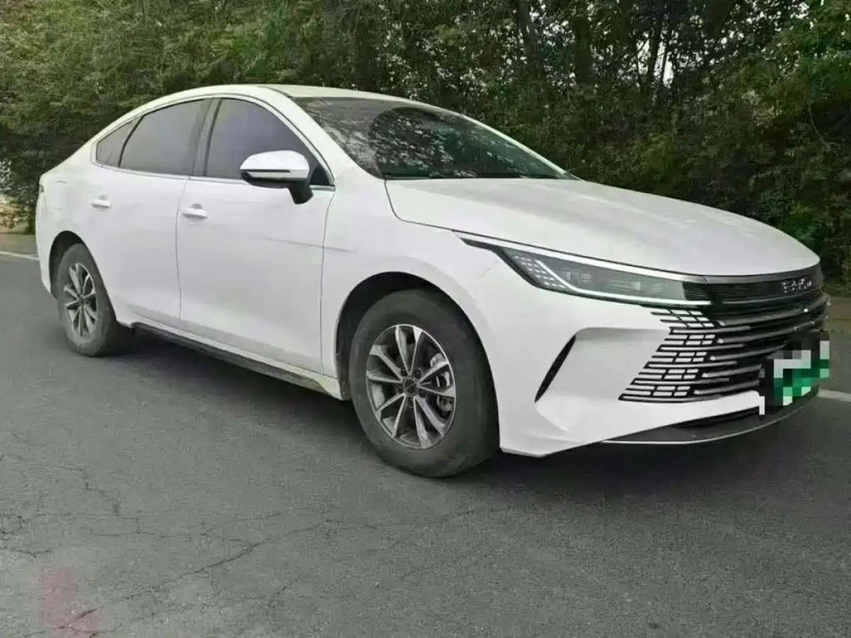 BYD DESTROYER 05
