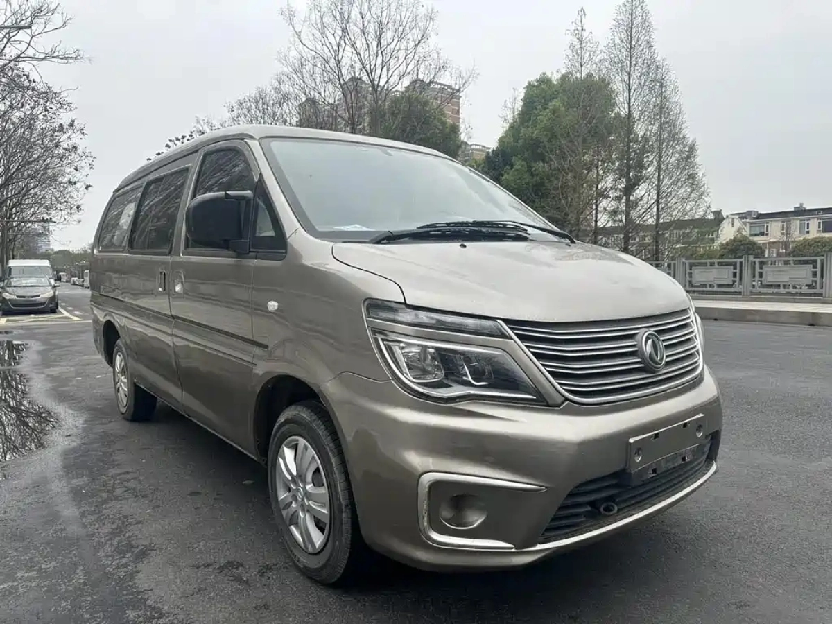 DONGFENG LINGZHI