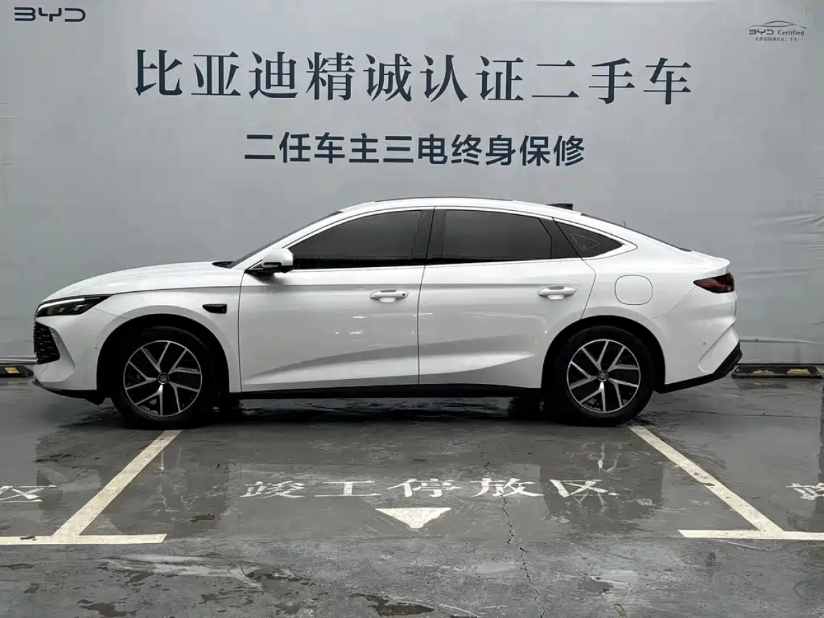 BYD QIN L