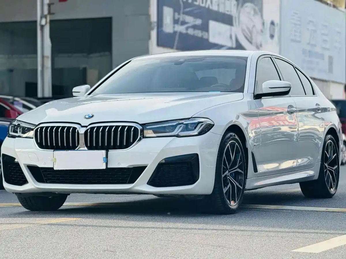BMW 5-SERIES IMPORT