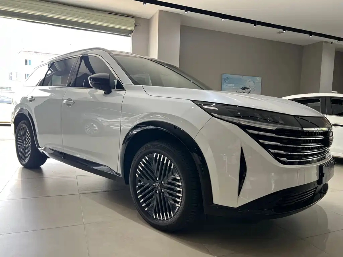 NISSAN OTHER