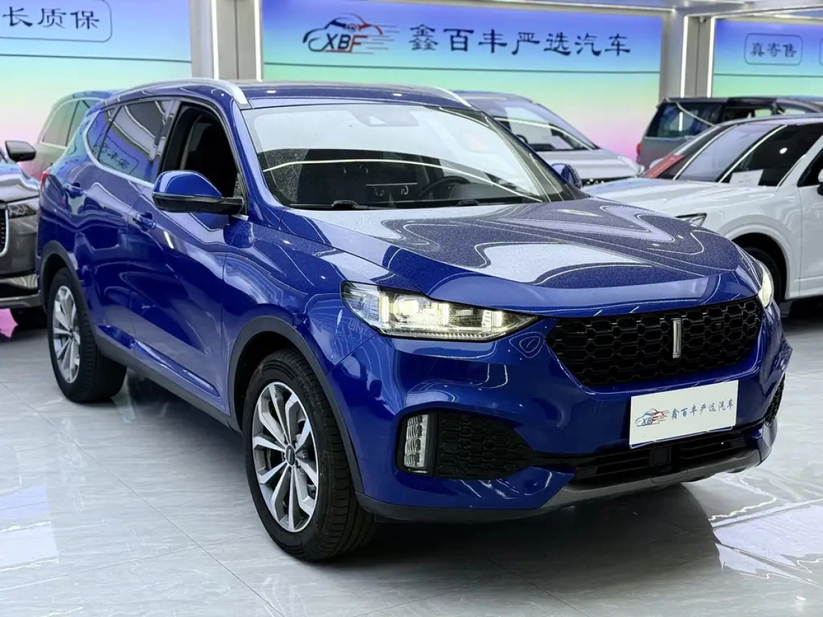 WEY VV6