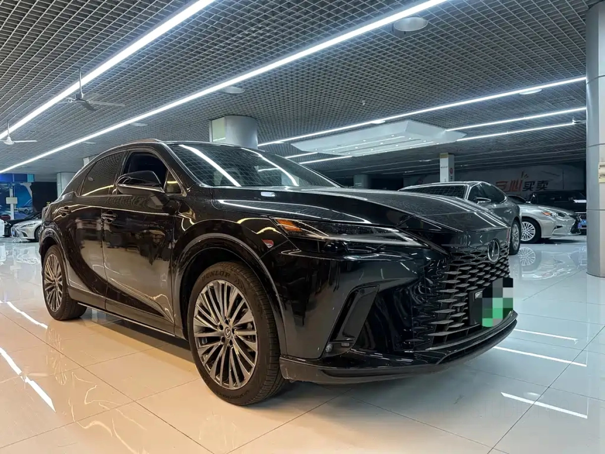 LEXUS RX NEW ENERGY
