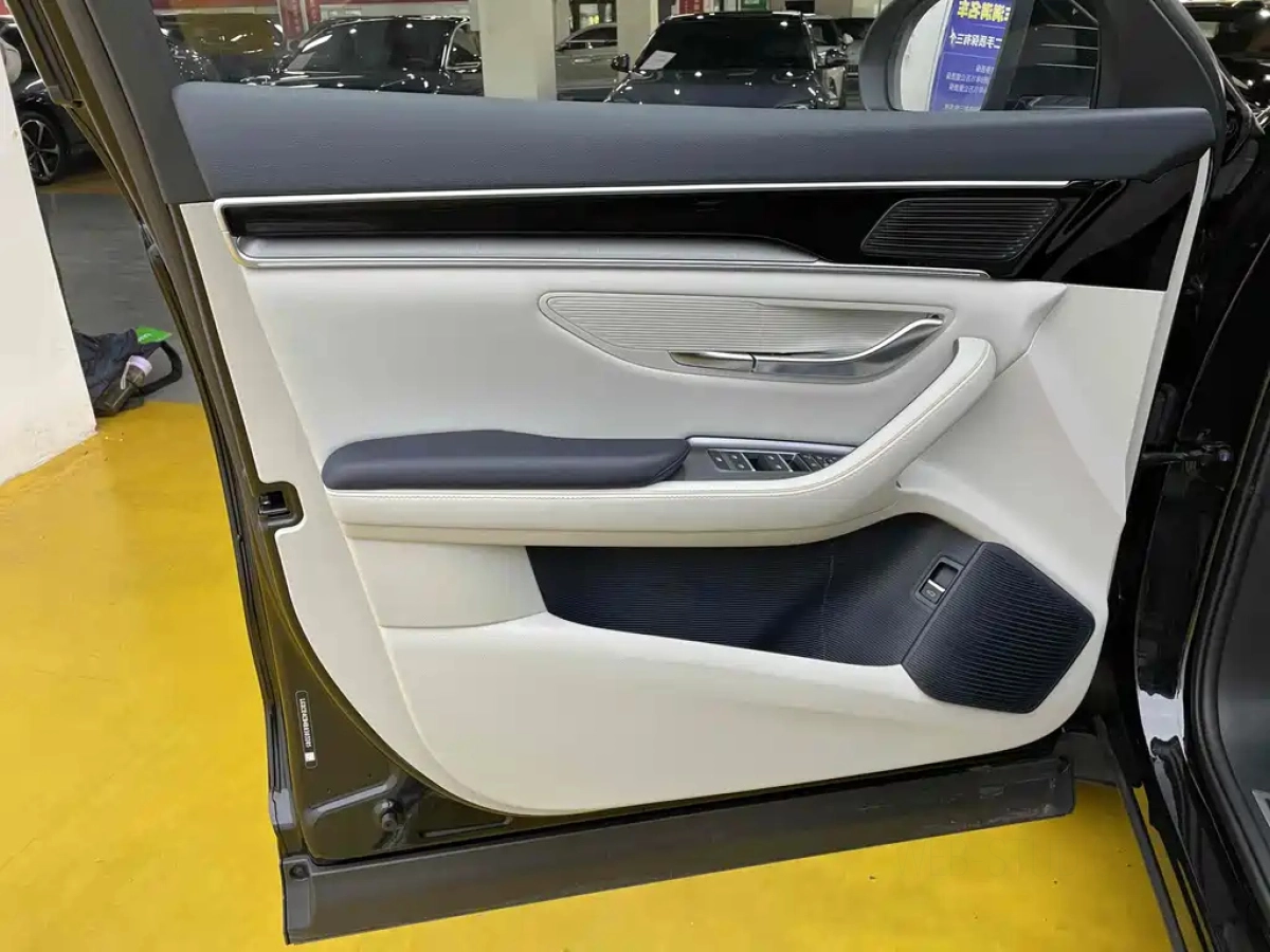 BYD SONG PLUS NEW ENERGY