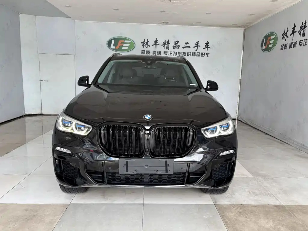 BMW X5 NEW ENERGY IMPORT
