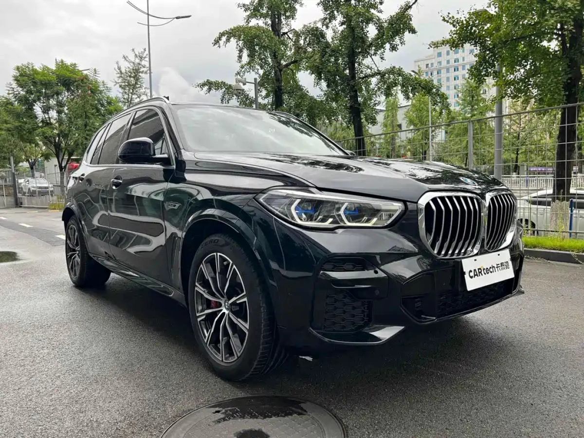 BMW X5 NEW ENERGY IMPORT
