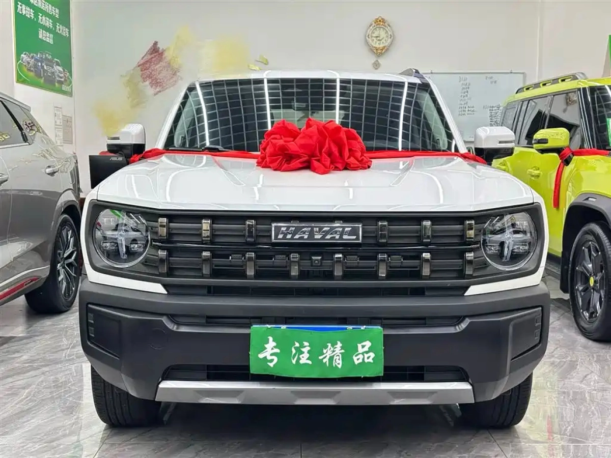HAVAL COOL DOG