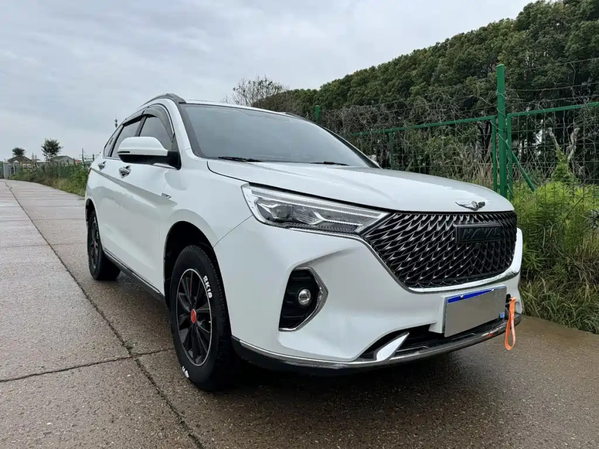 HAVAL M6