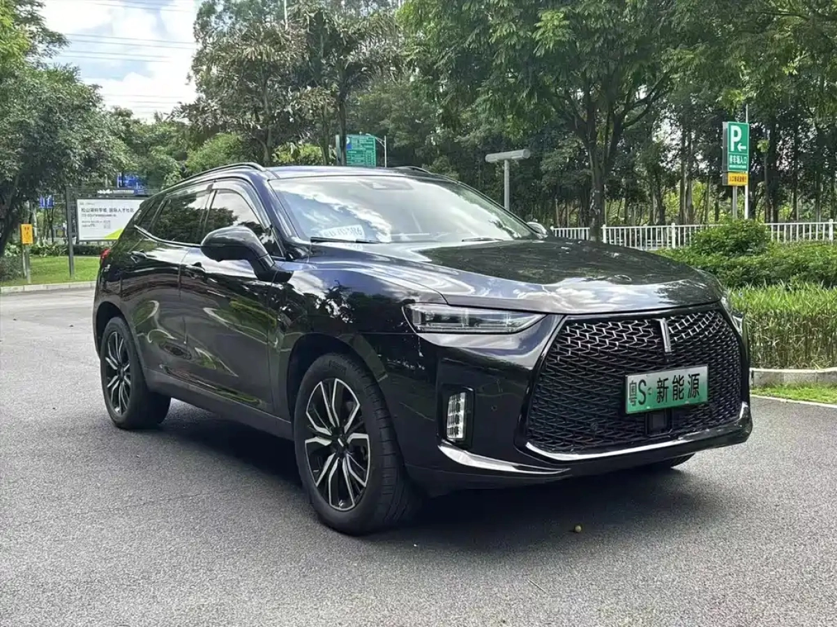 WEY P8