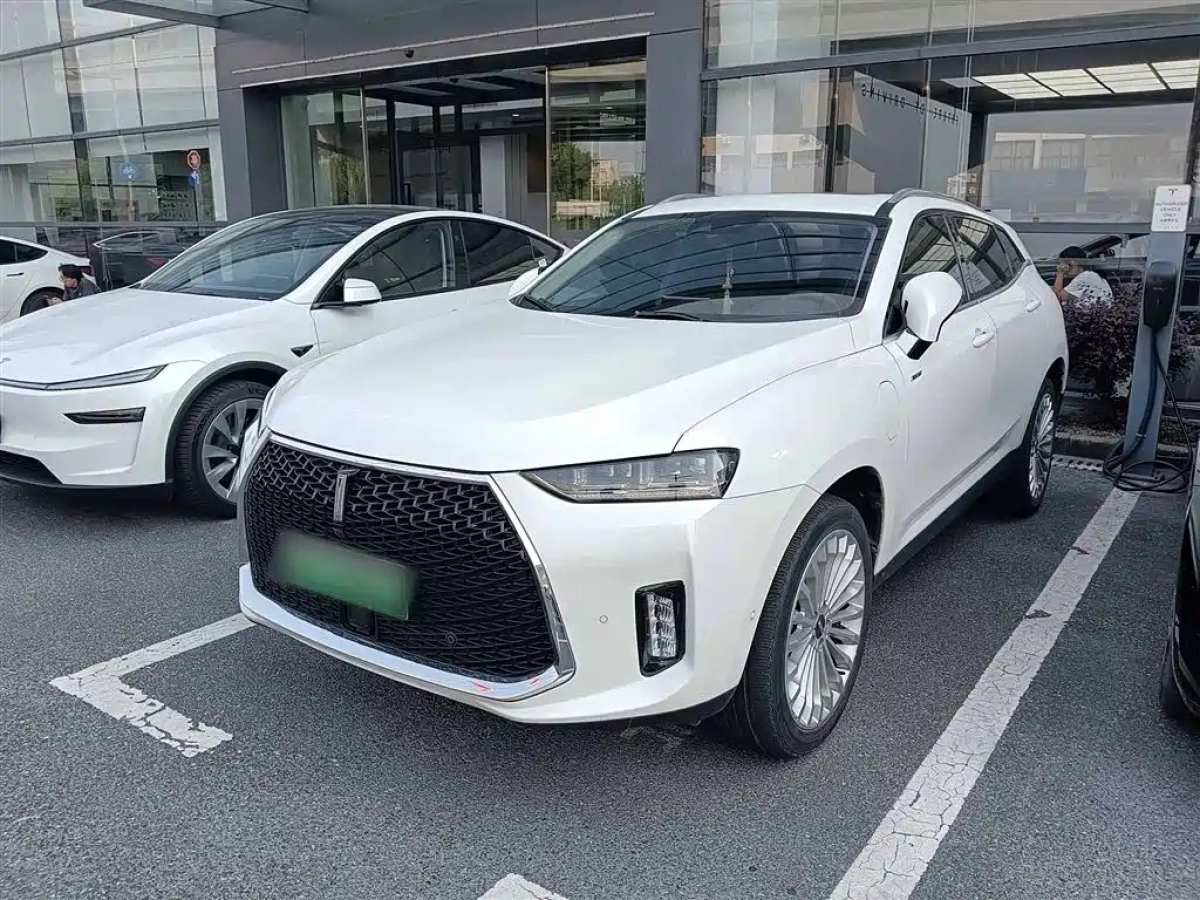 WEY P8