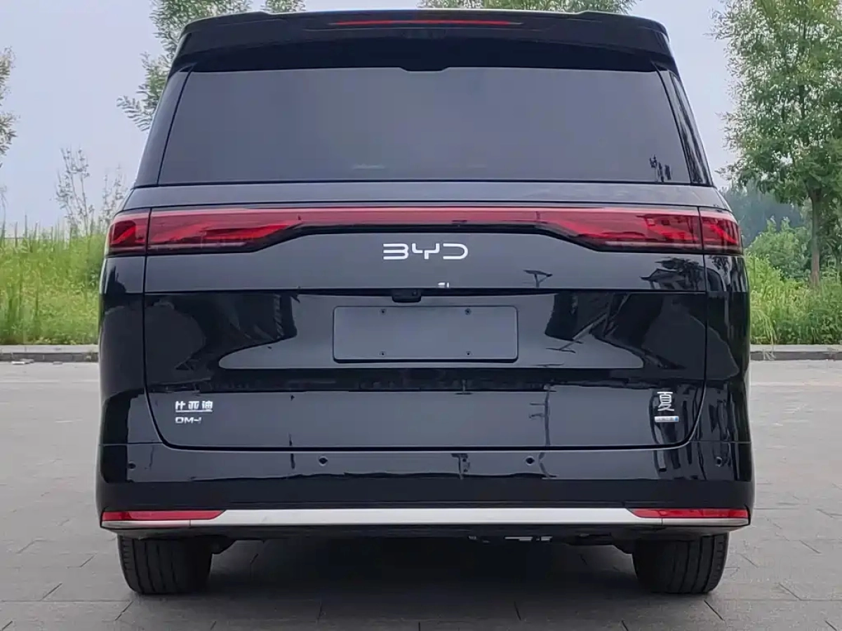BYD OTHER