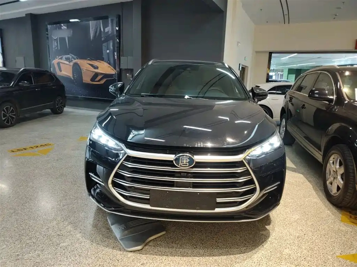 BYD TANG NEW ENERGY