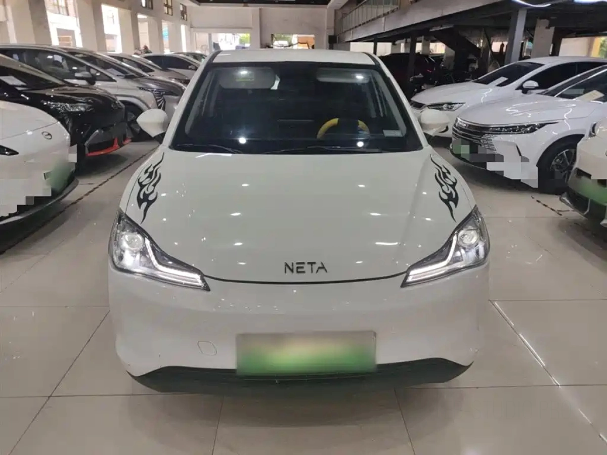 NETA AUTO V