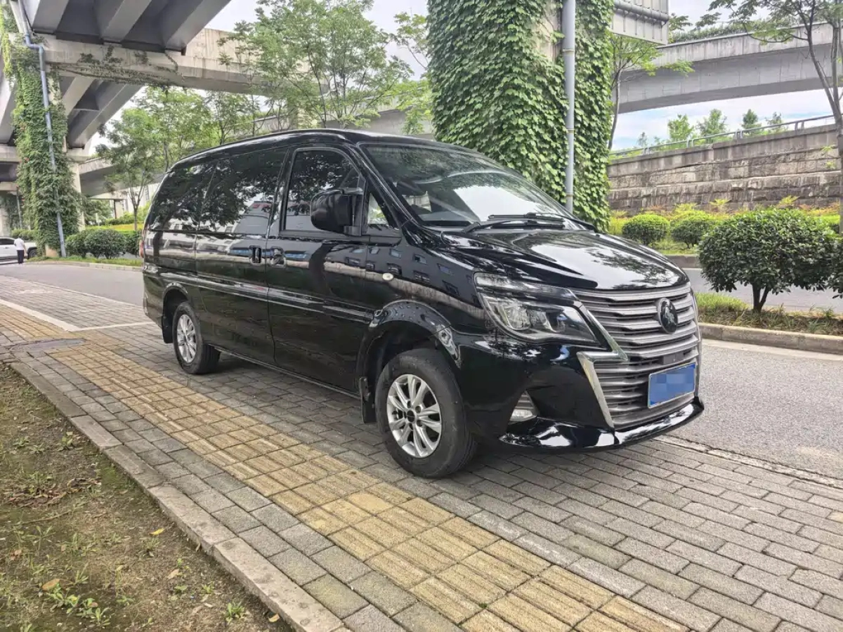 DONGFENG LINGZHI