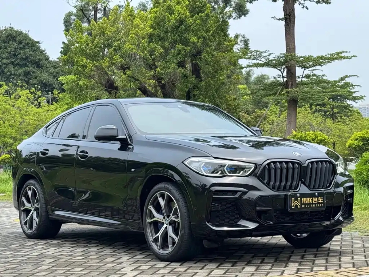 BMW X6