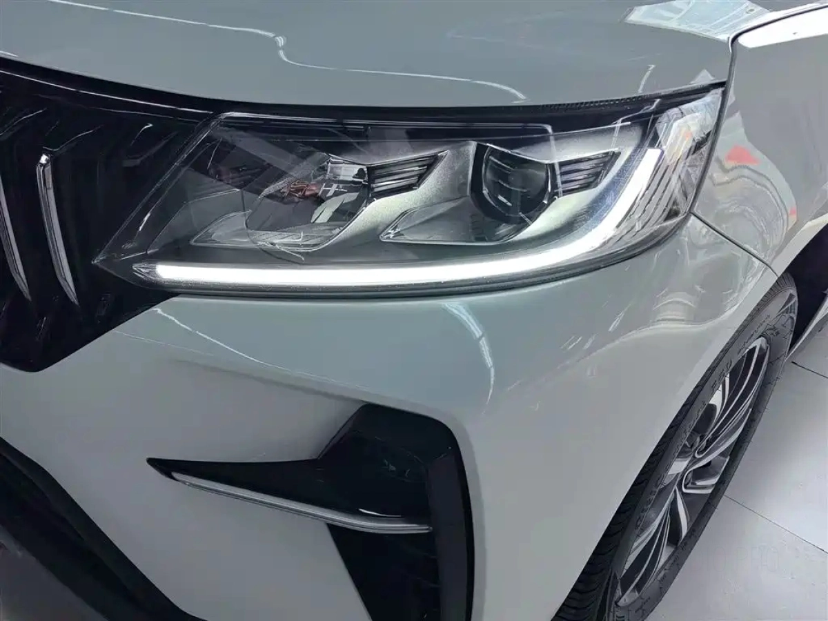 GEELY AUTO VISION X6