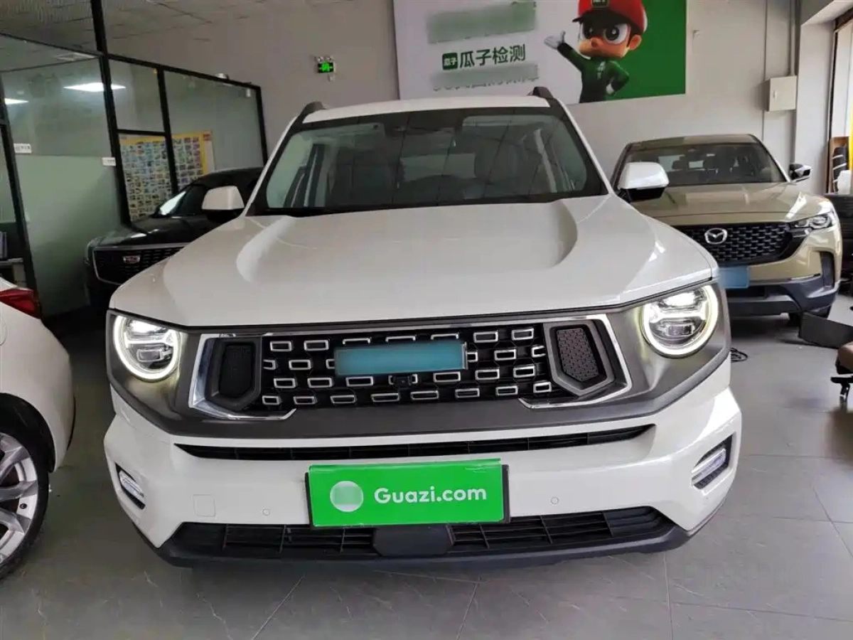 HAVAL 2 GEN. DARGO NEW ENERGY