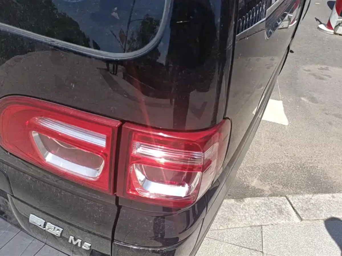 DONGFENG LINGZHI