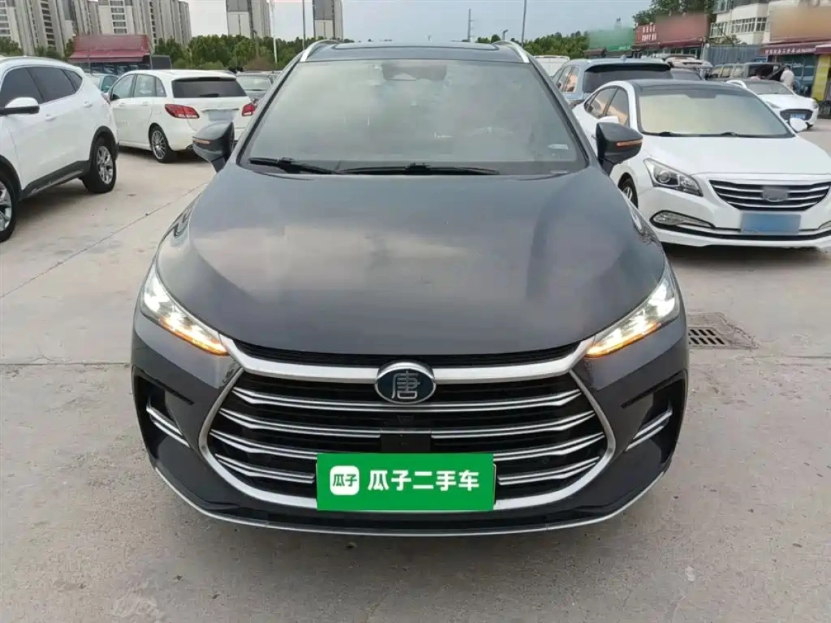 BYD TANG NEW ENERGY