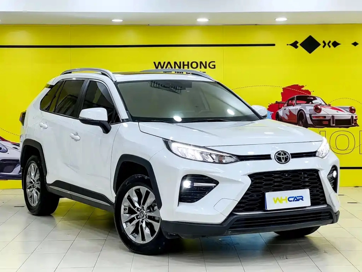TOYOTA WILDLANDER