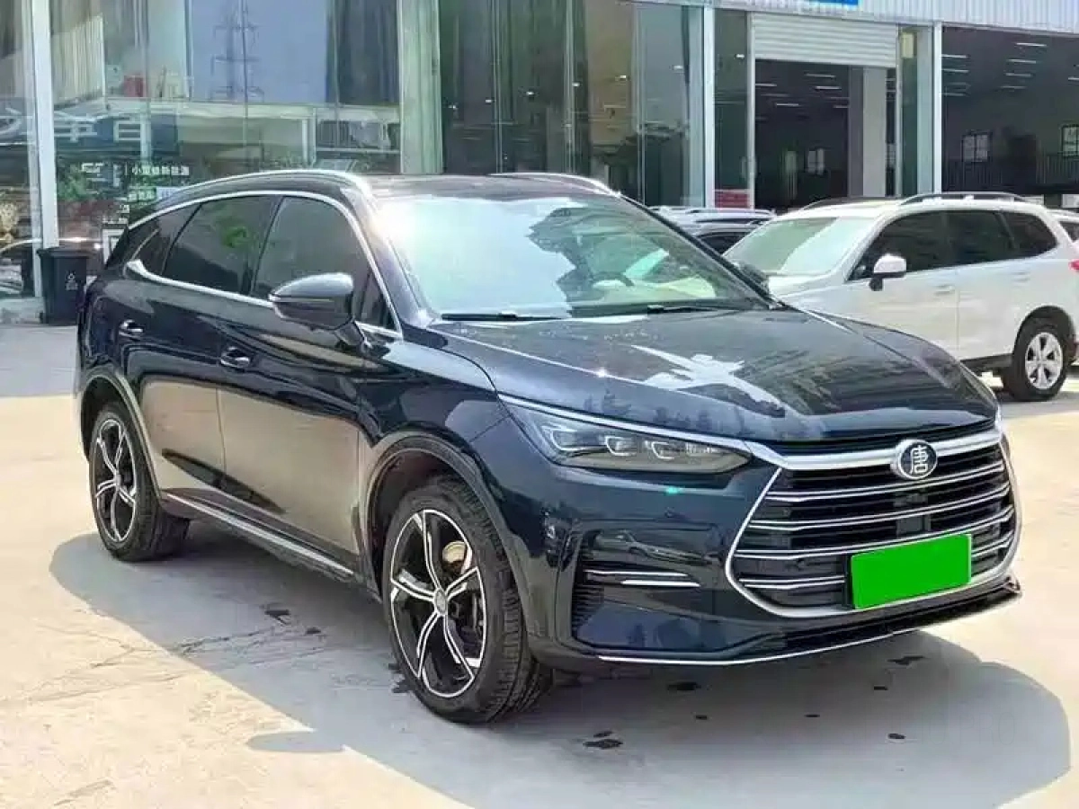 BYD TANG NEW ENERGY
