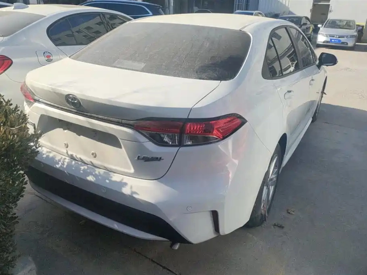 TOYOTA RALINK
