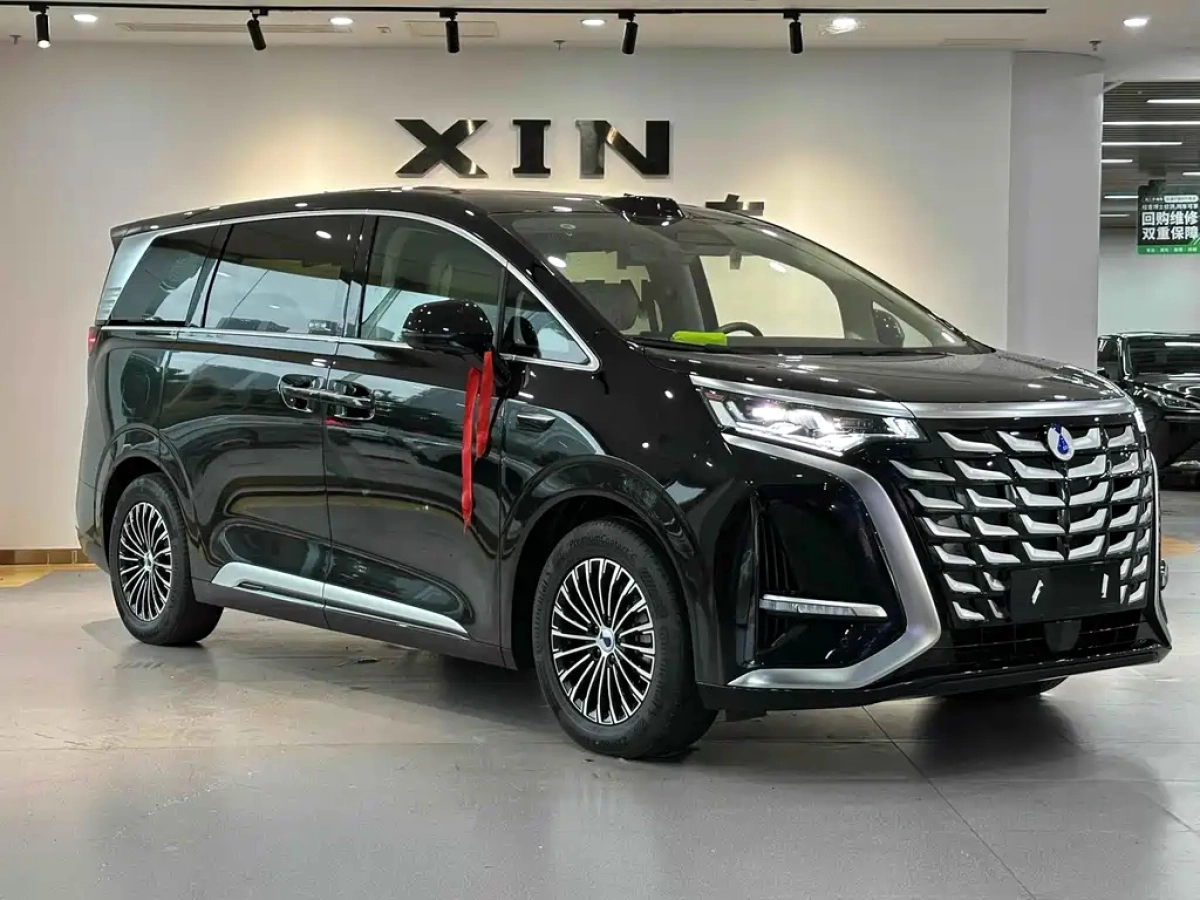 DENZA D9