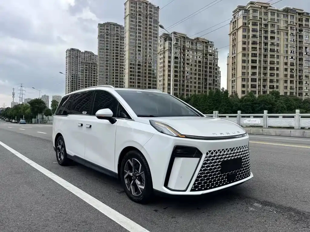 MAXUS OTHER
