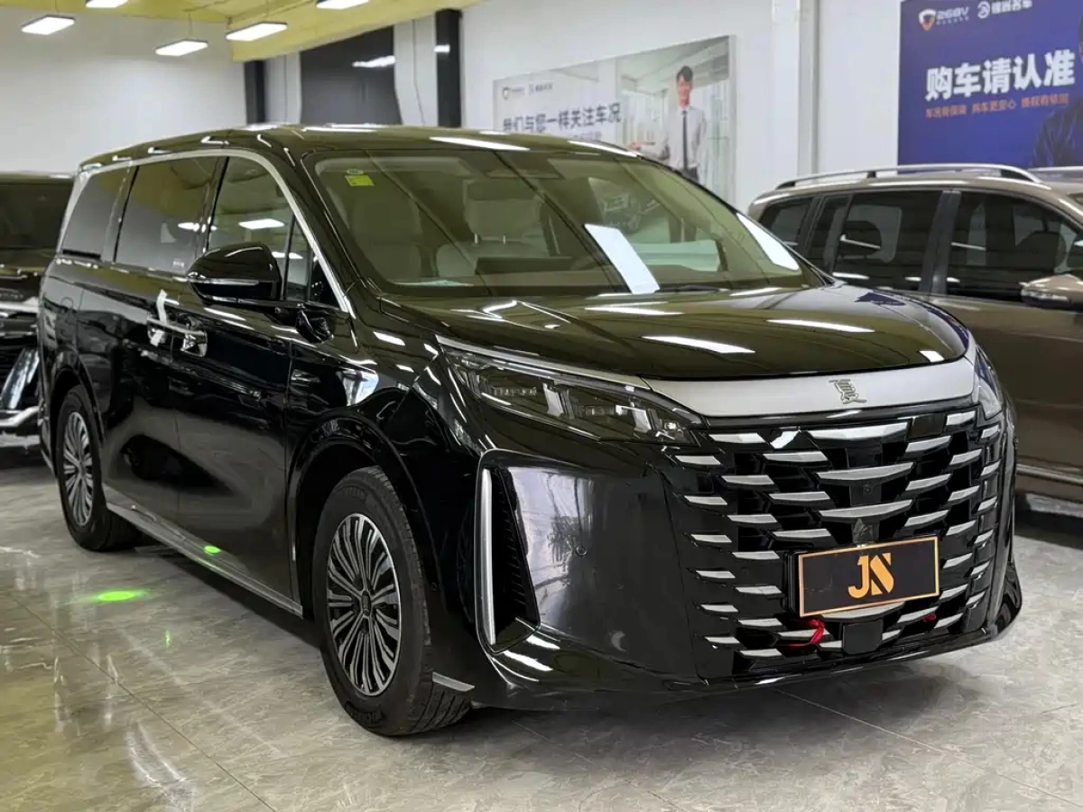 BYD OTHER