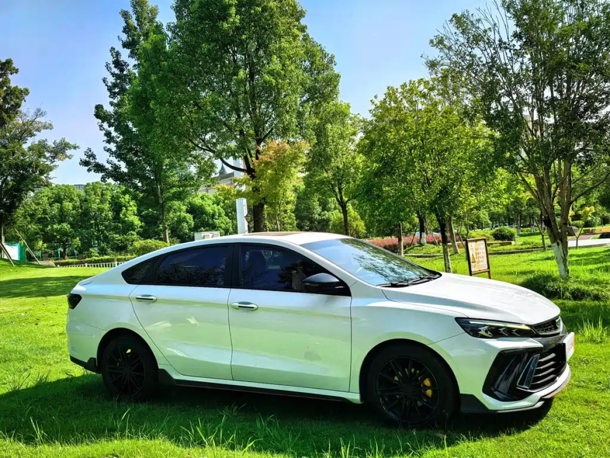 GEELY AUTO BINRUI