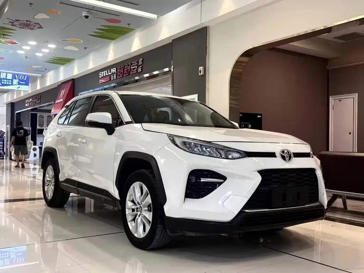 TOYOTA WILDLANDER