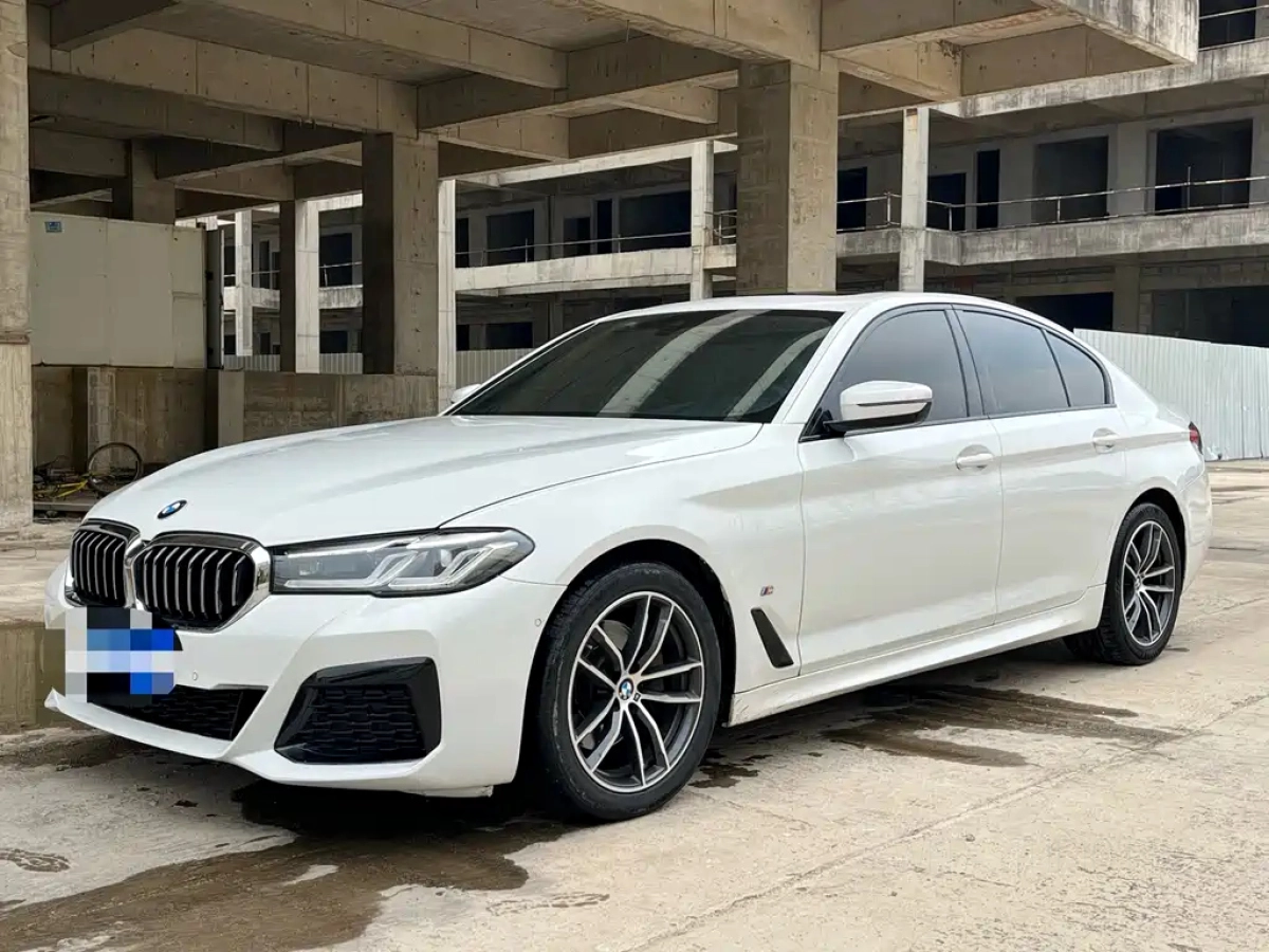 BMW 5-SERIES IMPORT