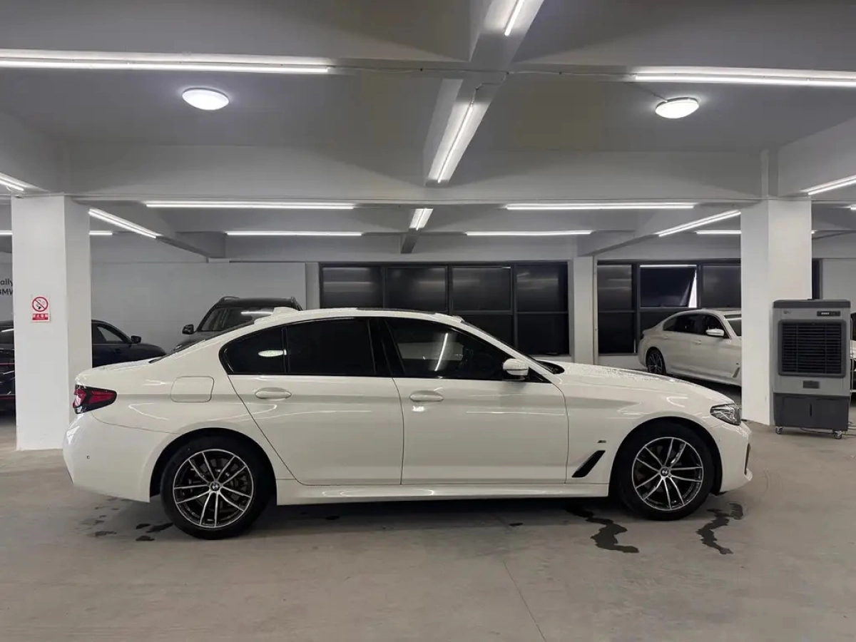 BMW 5-SERIES IMPORT