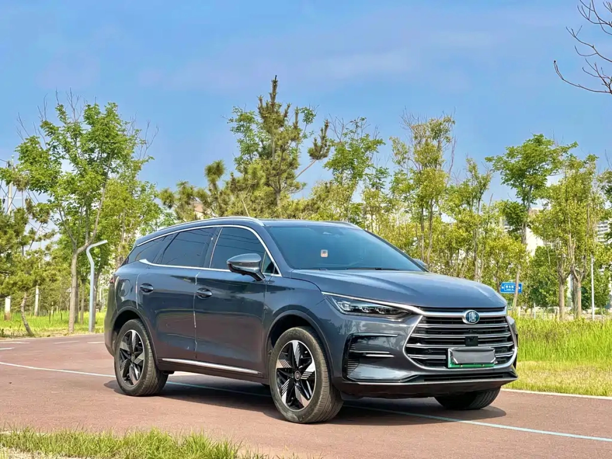 BYD TANG NEW ENERGY