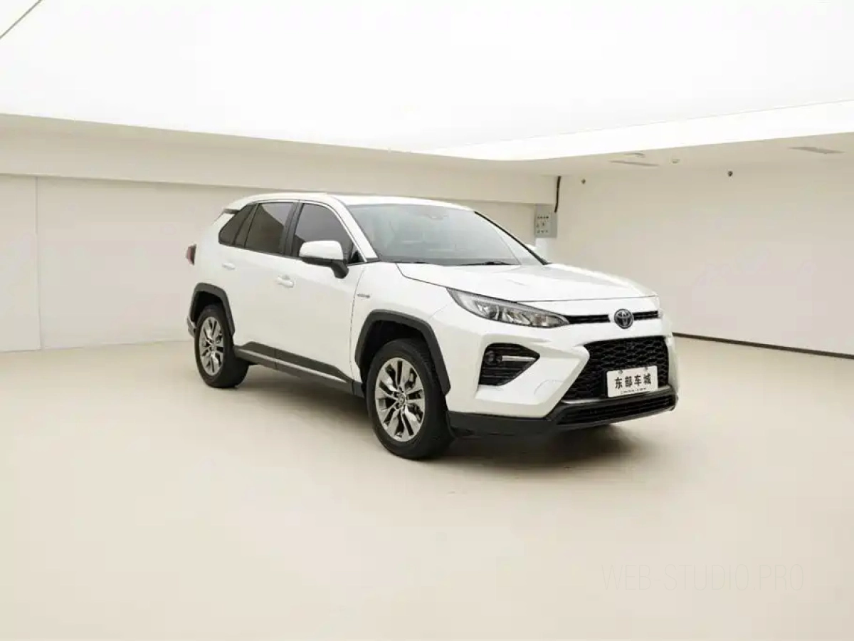 TOYOTA WILDLANDER